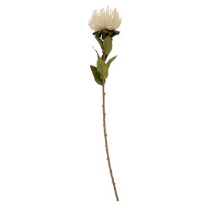 EJ ARTIFICIAL PLANT PROTEA FLOWER SMALL WHITE
