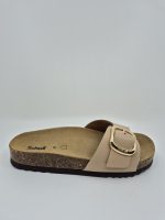 SCHOLL KATHLEEN CAMEL