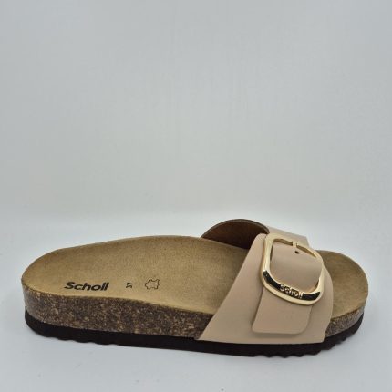 SCHOLL KATHLEEN CAMEL