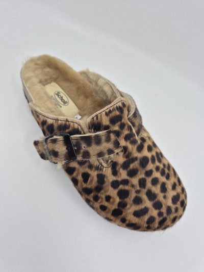 SCHOLL FAE AANSTEKER LEOPARD